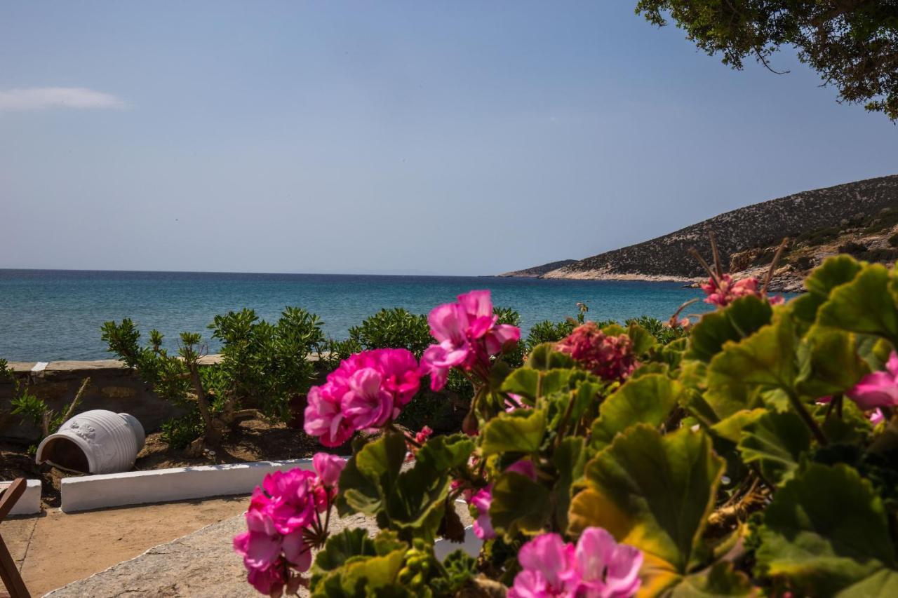 Pension Ageliki Sifnos Platis Gialos  Extérieur photo